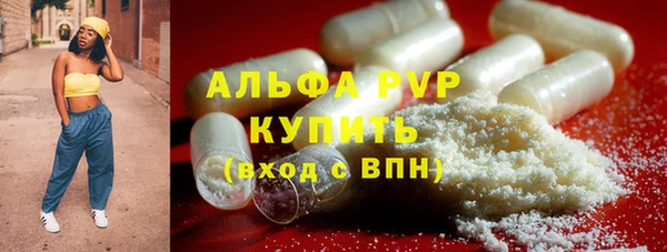 эйфоретик Бородино