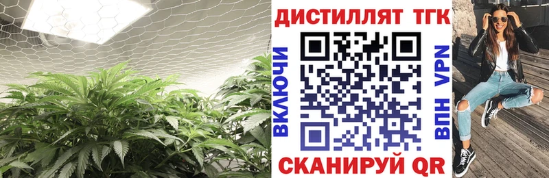 ТГК вейп Мончегорск