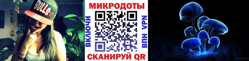сколько стоит  Мончегорск  Псилоцибиновые грибы Cubensis 