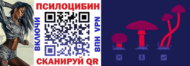 Галлюциногенные грибы Psilocybine cubensis Мончегорск